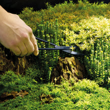 Cargar imagen en el visor de la galería, Oase Tijeras