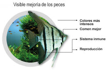 Cargar imagen en el visor de la galería, Easy Life Filter Medium