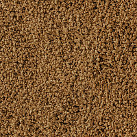 Cargar imagen en el visor de la galería, Sera Discus Color Nature