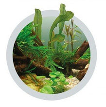 Cargar imagen en el visor de la galería, Easy Life Ferro