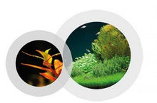 Cargar imagen en el visor de la galería, Easy Life Fosfo