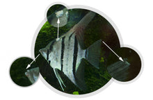 Cargar imagen en el visor de la galería, Easy Life Voogle