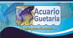 Acuario Guetaria